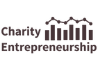 CE logo denim