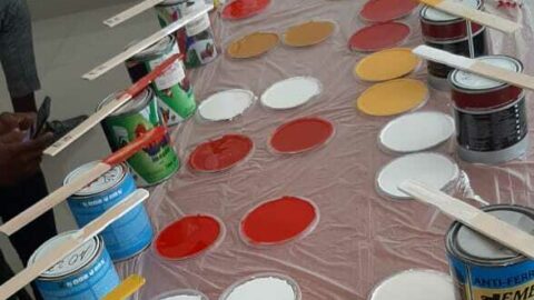 Lead paint workshop in Angola following new study results | Lead